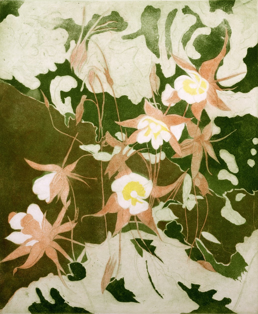 Kolomb (baskı) by Valerie Daniel