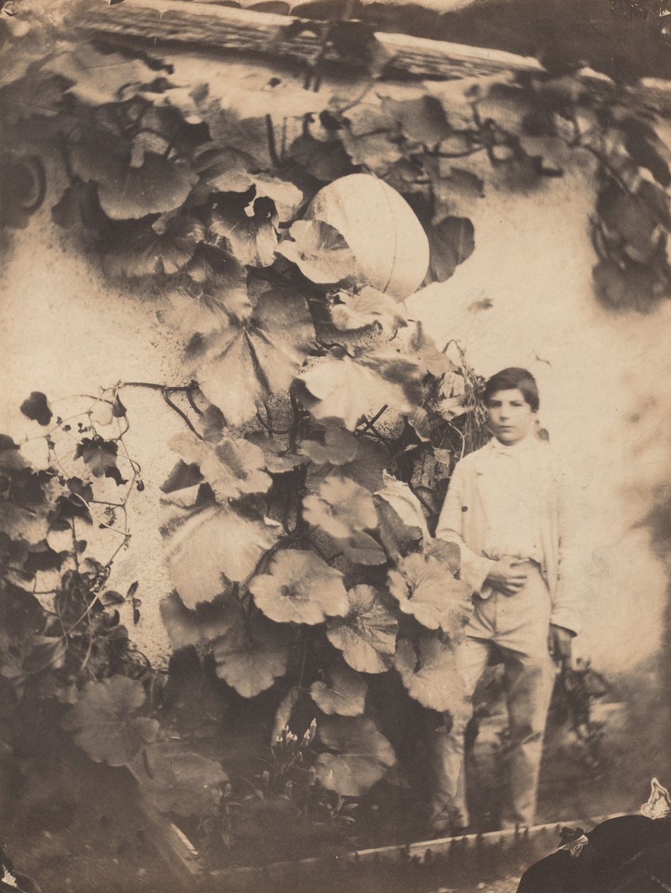 Balkabaklı Çocuk, 1854. by Varin Frères
