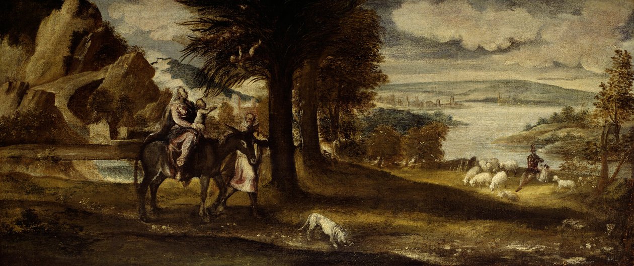 by Venetian