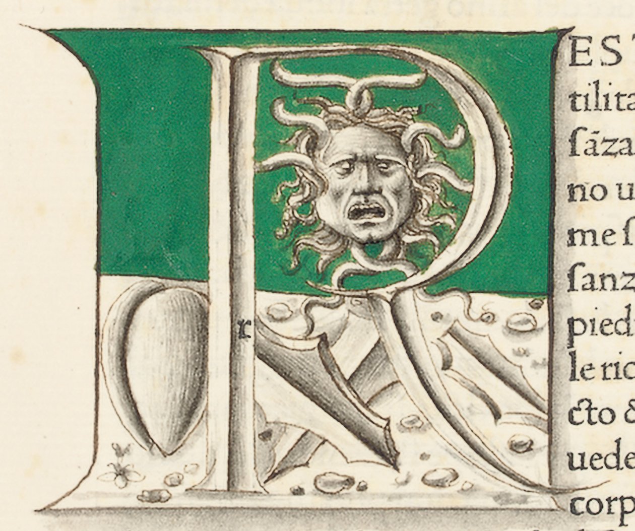 Yaşlı Pliny
