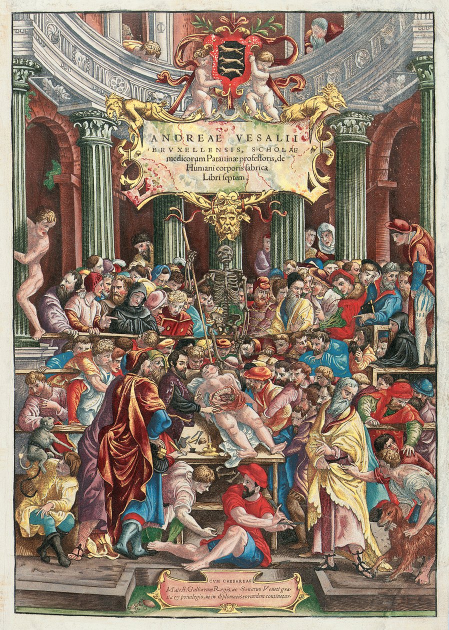 Andreas Vesalius (1514-64) tarafından yazılan De Humani Corporis Fabrica Libri Septem