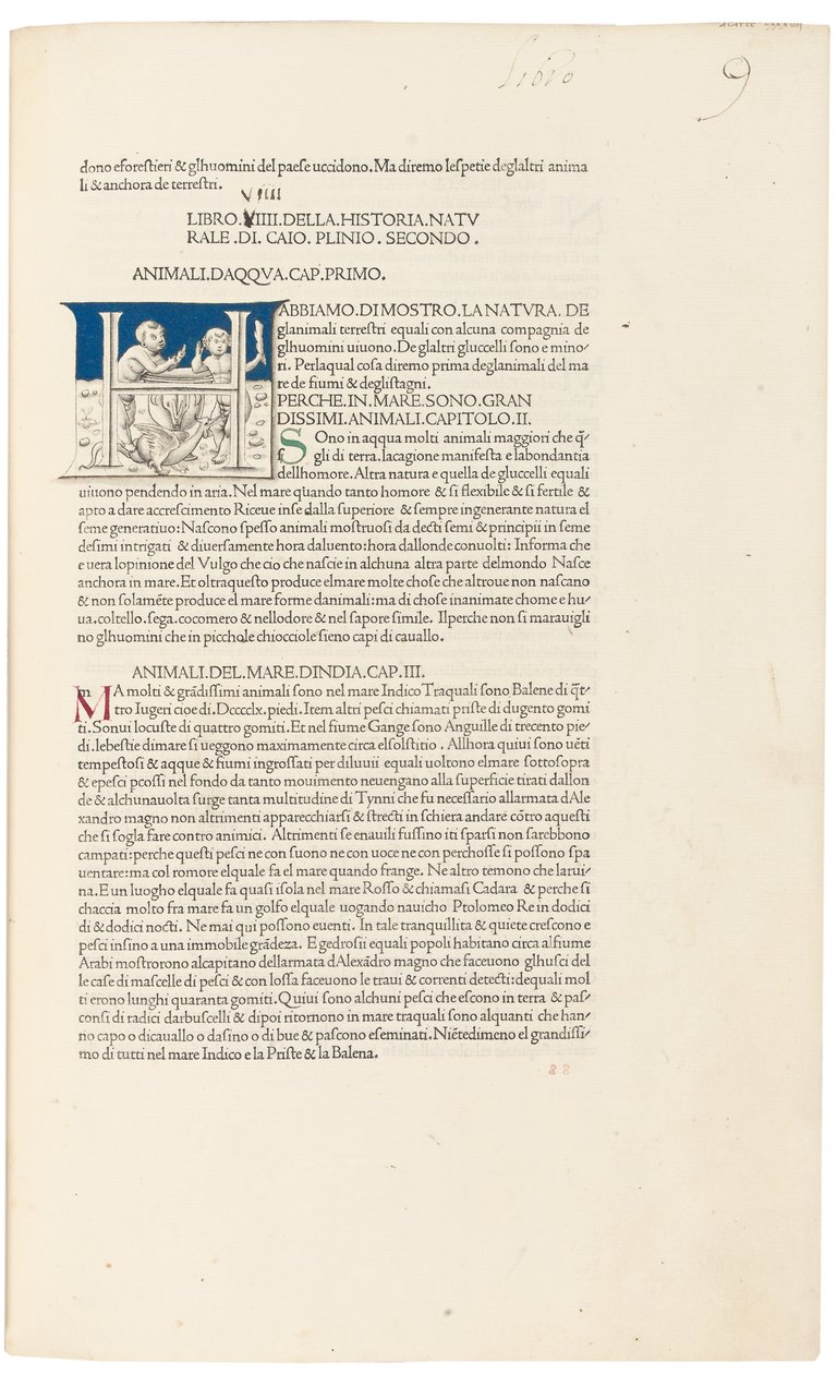 Yaşlı Pliny