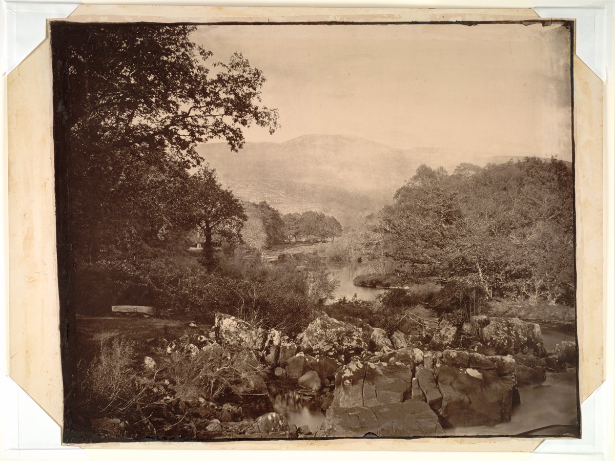 Çimenlerden Görünüm, Dennicanniby by Vernon Heath