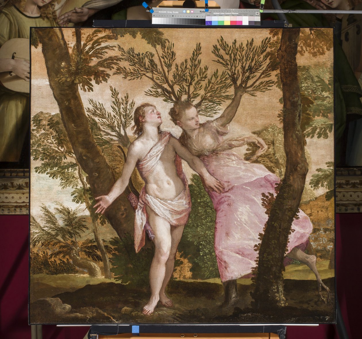 ಅಪೊಲೊ ಮತ್ತು ದಾಫ್ನೆ, c.1560-65 ಟರ್ಕ್ by Paolo Veronese