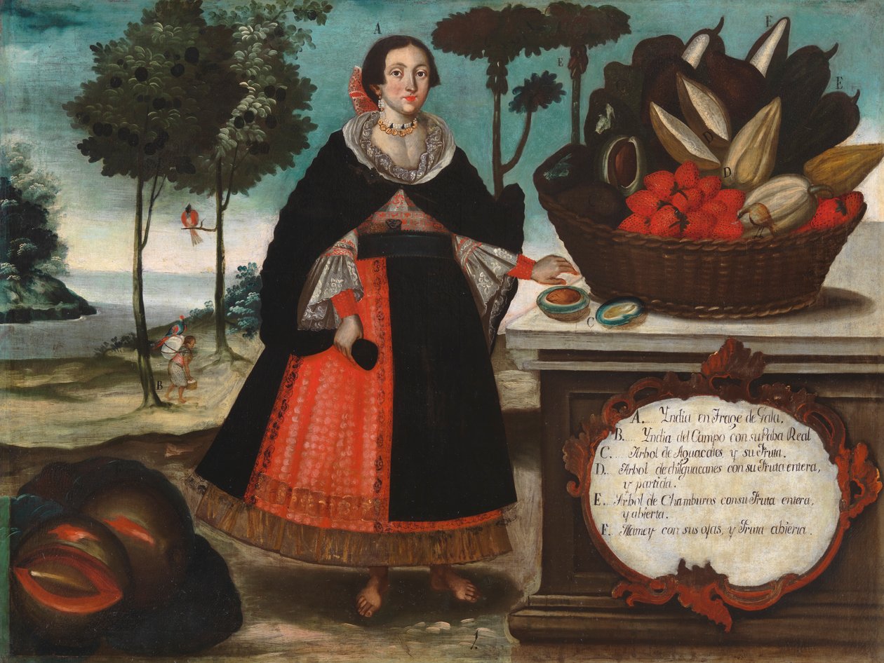 Özel Kıyafetli Hintli Kadın, c.1783 by Vicente Alban