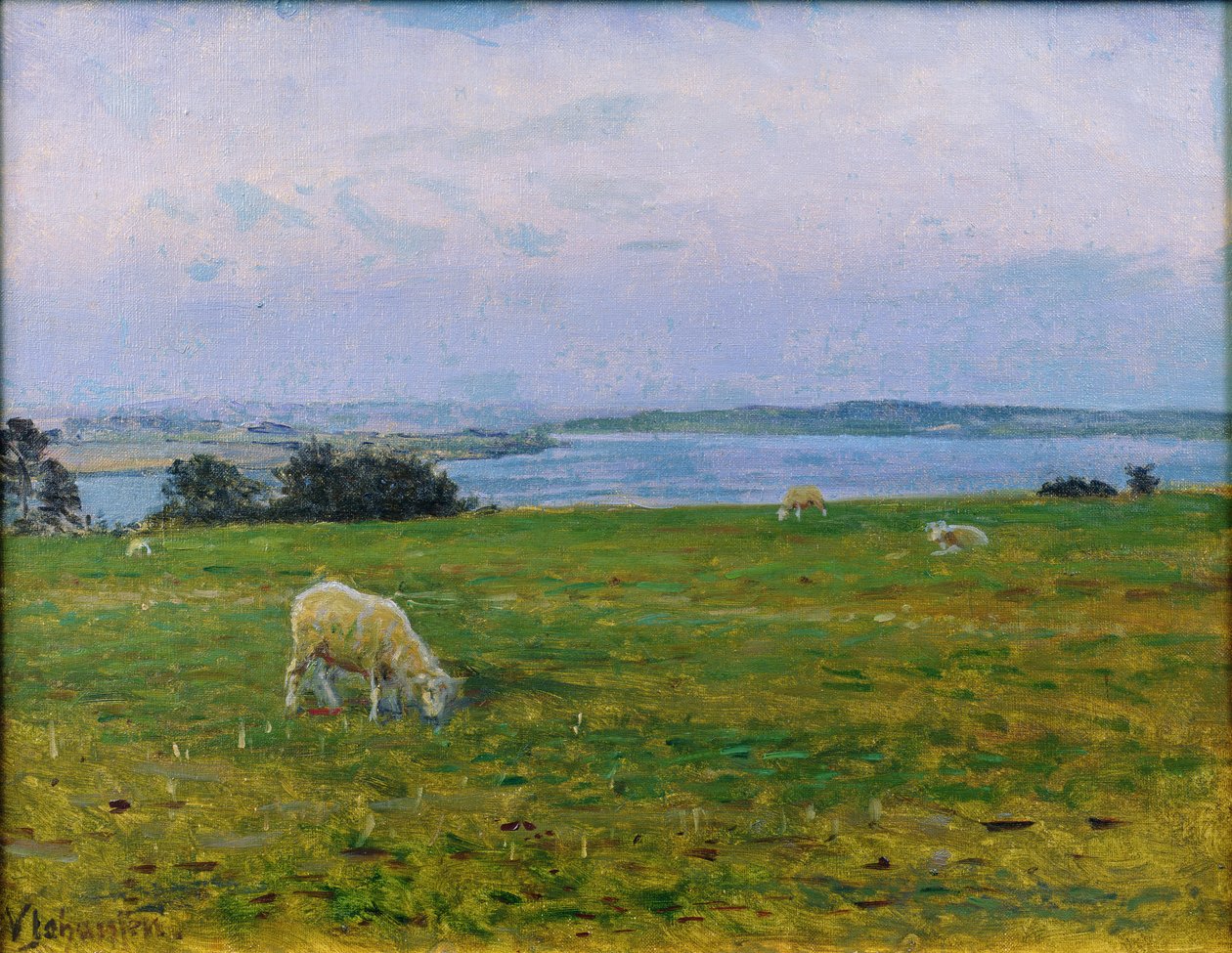 Koyun Otlatma, Osterby, Skagen by Viggo Johansen