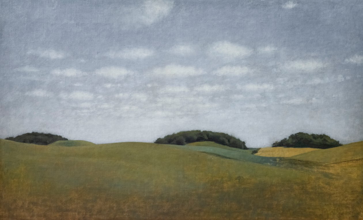 Peyzaj ve Kamplar by Vilhelm Hammershoi