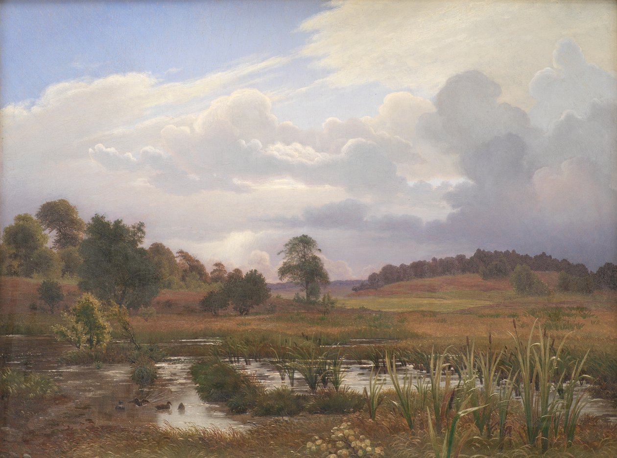 Nordskoven Ormanı yakınlarındaki manzara, Jægerspris, Zelanda by Vilhelm Kyhn