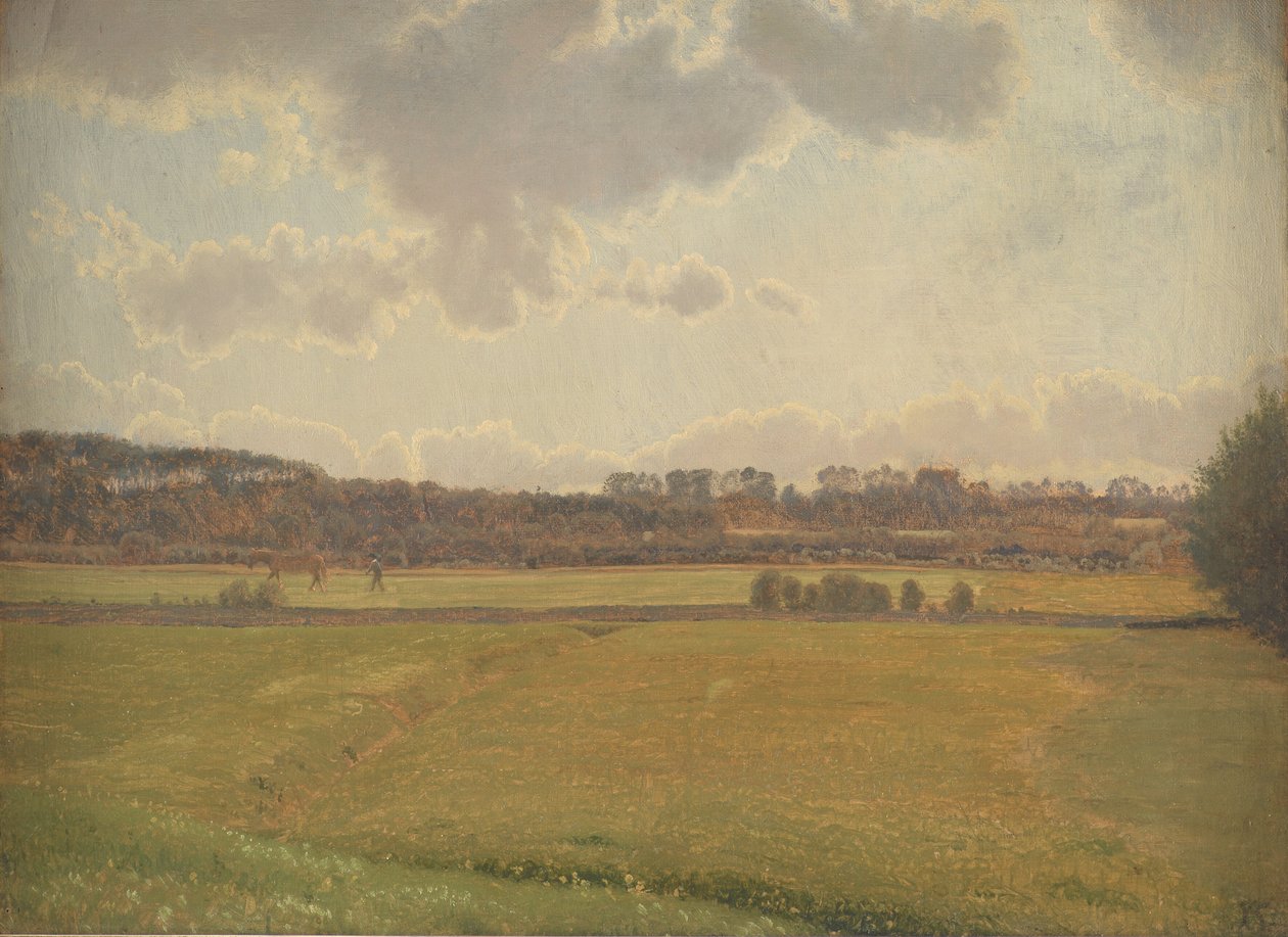 Bisholt