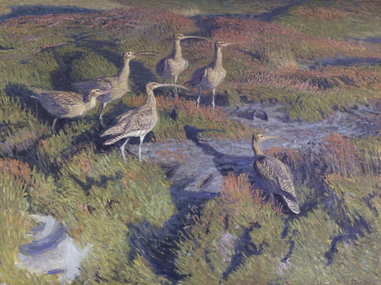 Yağmur küreği hafifletmeye hazır by Vilhelm Th. Fischer