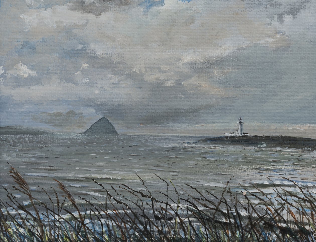 Ailsa Craig, Arran, 2007, (Tuval üzerine akrilik) by Vincent Alexander Booth