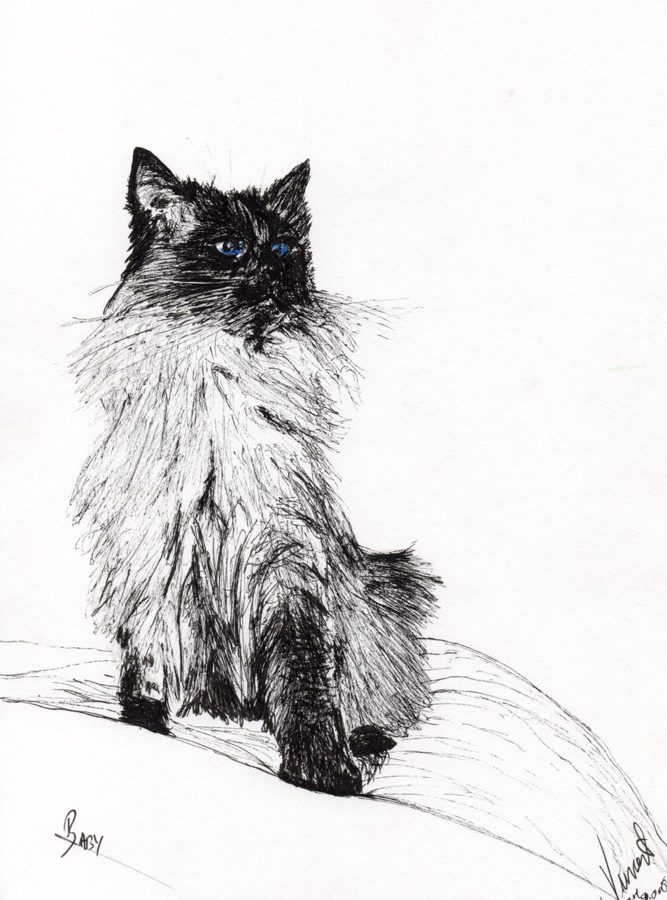 Bebeğim, 2008, (kağıt üzerine mürekkep) by Vincent Alexander Booth