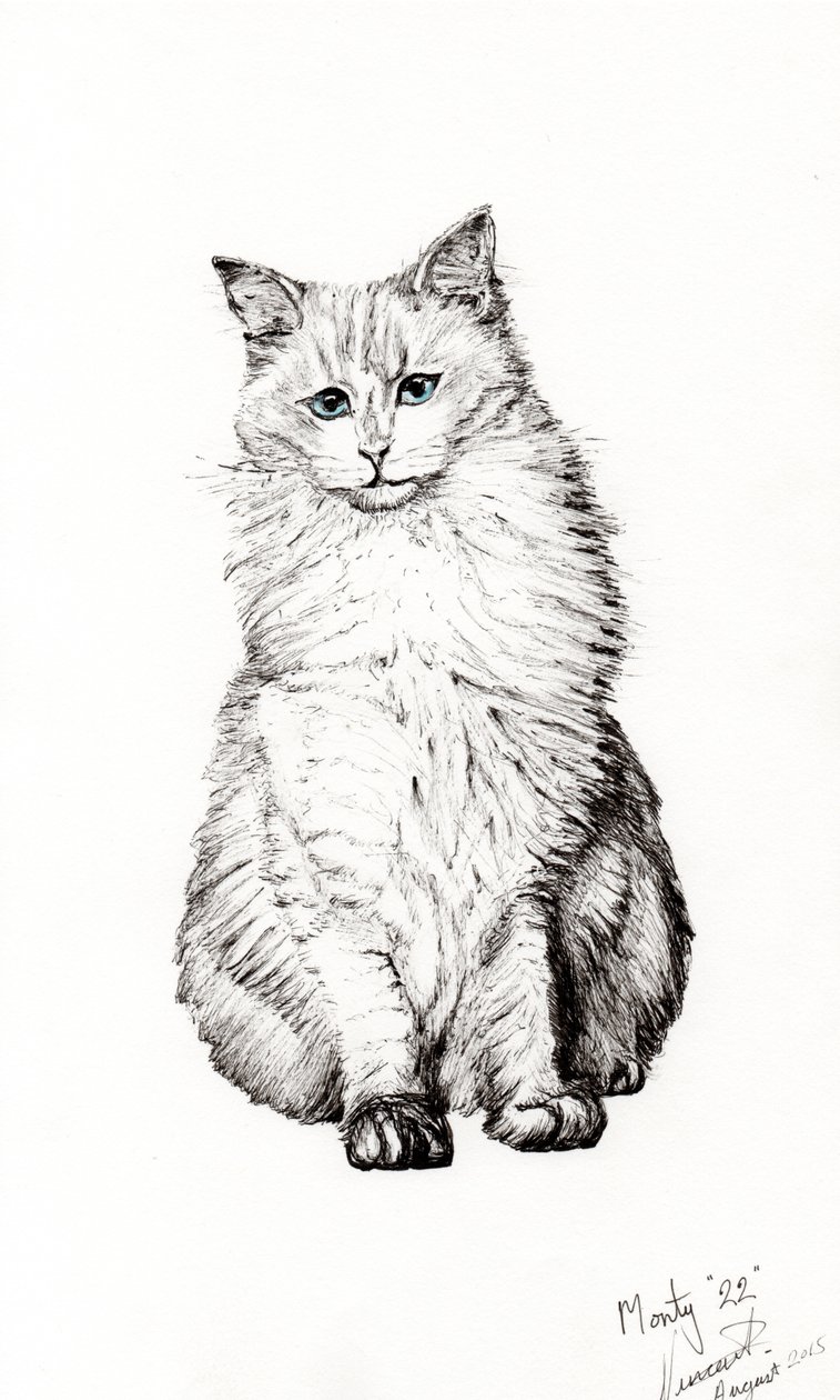 Oğlan, 2015, (kağıt üzerine mürekkep) by Vincent Alexander Booth