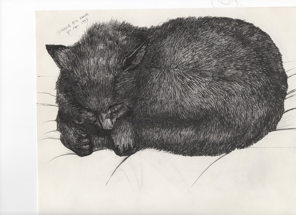 Diddy büyük surat, 1997, (kağıt üzerine mürekkep) by Vincent Alexander Booth