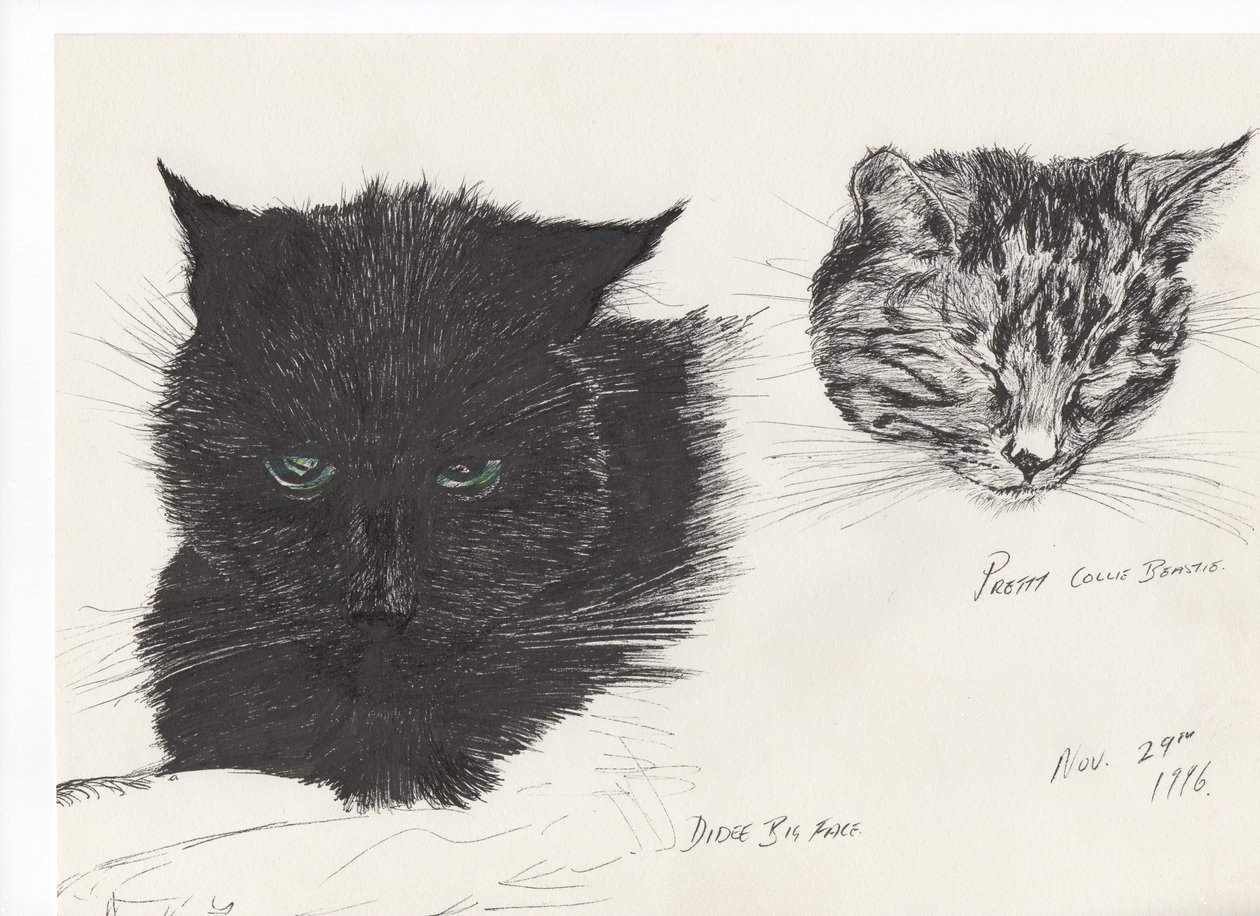 Diddybigface & colliebeastie, 1996, (kağıt üzerine mürekkep) by Vincent Alexander Booth