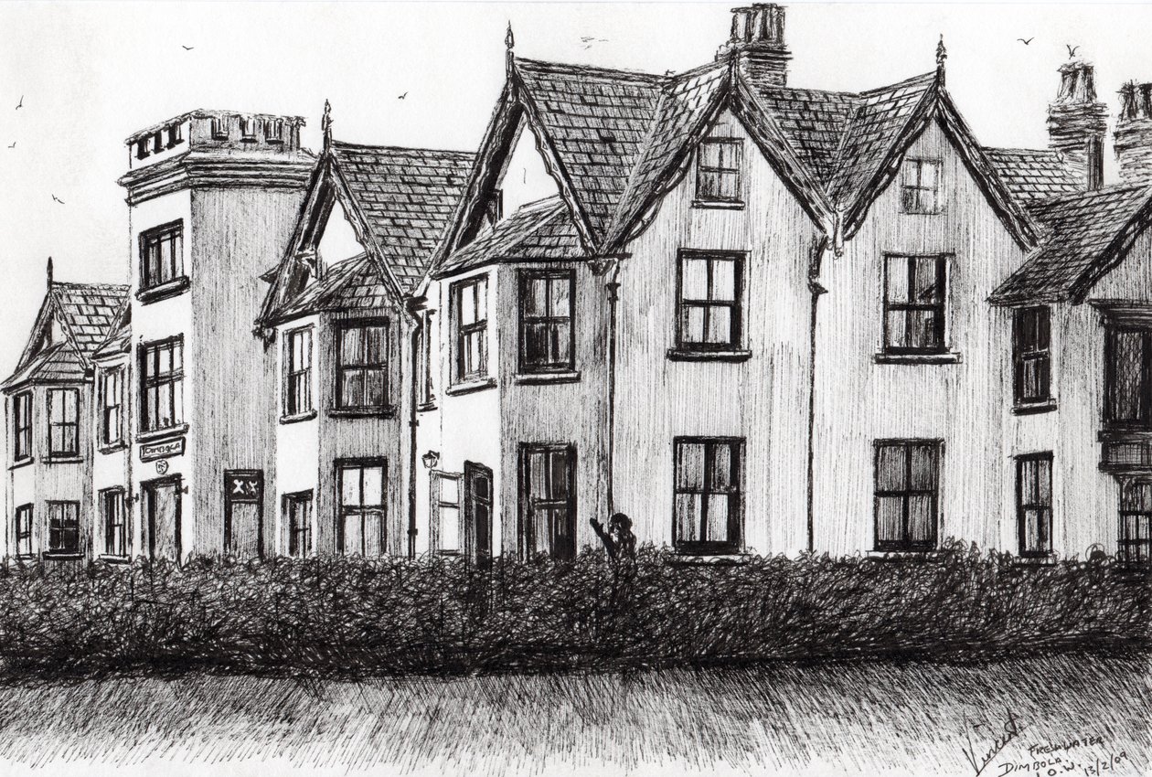 Dimbola Lodge I.O.W., 2009, (kağıt üzerine mürekkep) by Vincent Alexander Booth