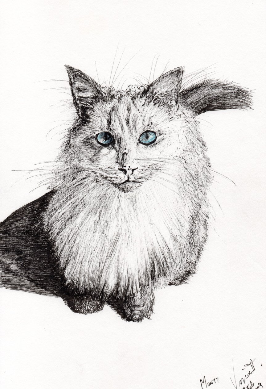 Monty, 2009, (kağıt üzerine mürekkep) by Vincent Alexander Booth