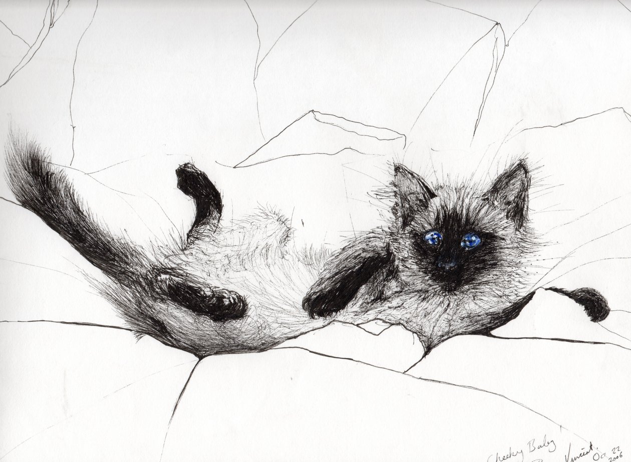 Play baby, 2006, (kağıt üzerine mürekkep) by Vincent Alexander Booth