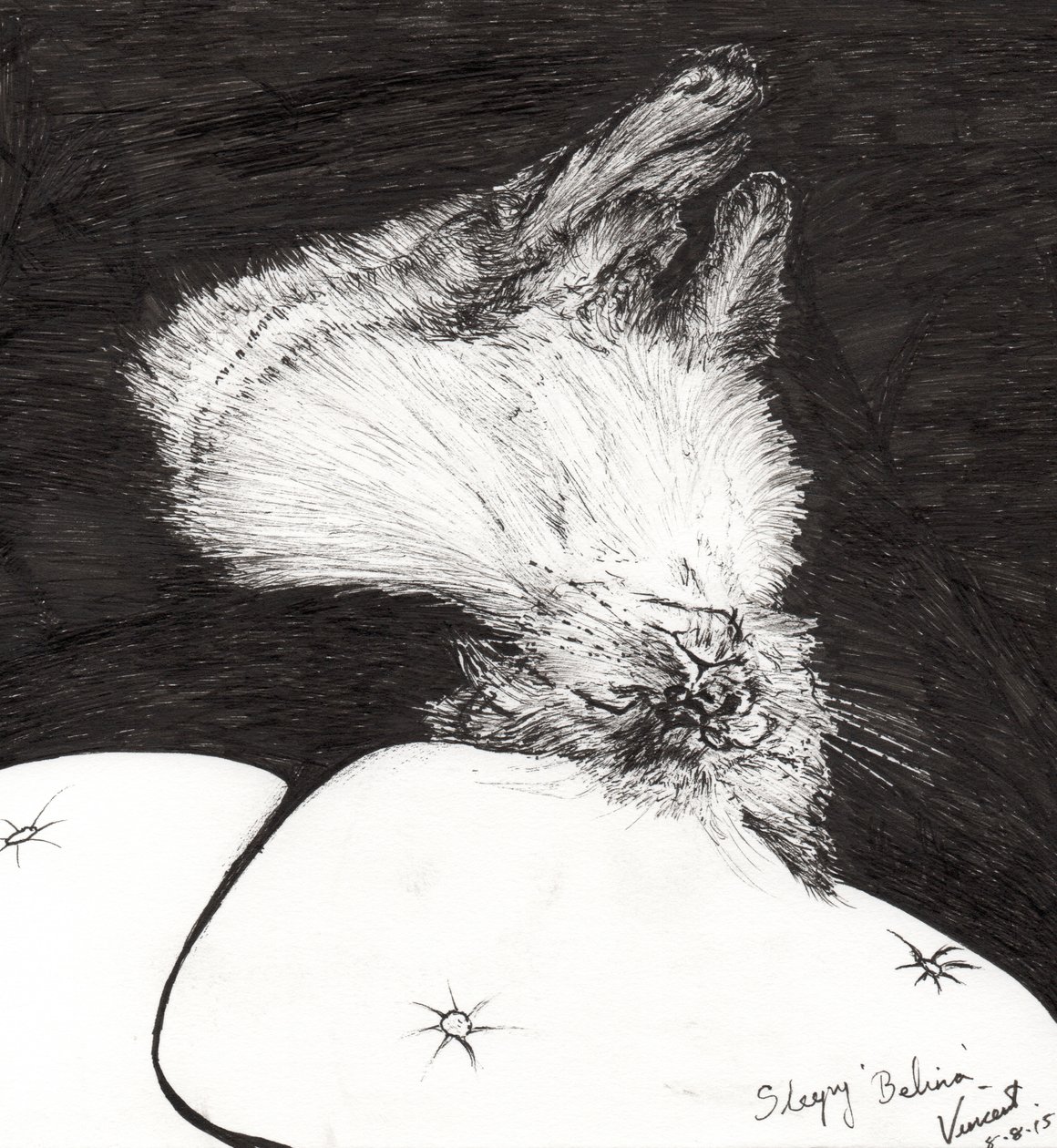 Sleepy Belina, 2015, (kağıt üzerine mürekkep) by Vincent Alexander Booth
