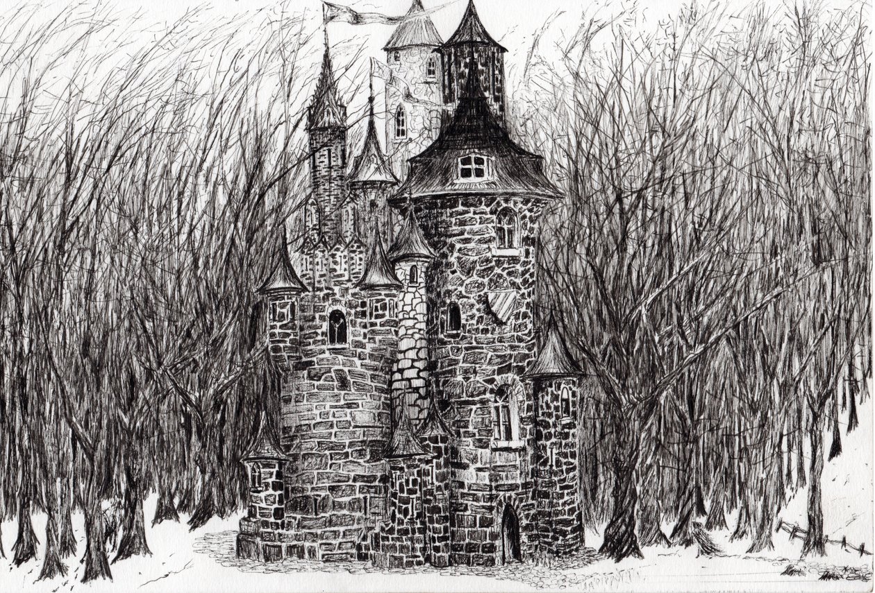 Findhorn ormanındaki Kale, 2006, (kağıt üzerine mürekkep) by Vincent Alexander Booth