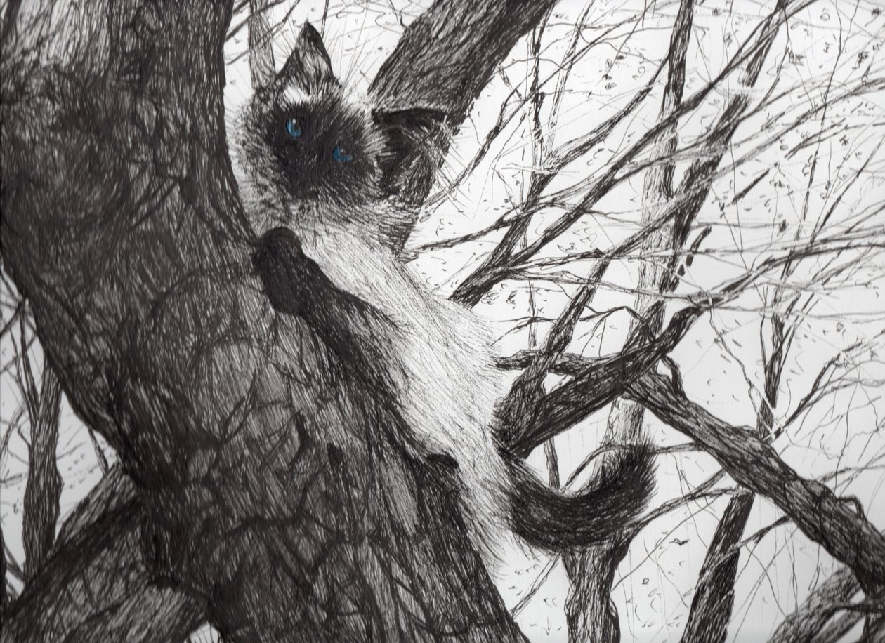 Elma ağacının yukarısında, 2006, (kağıt üzerine mürekkep) by Vincent Alexander Booth