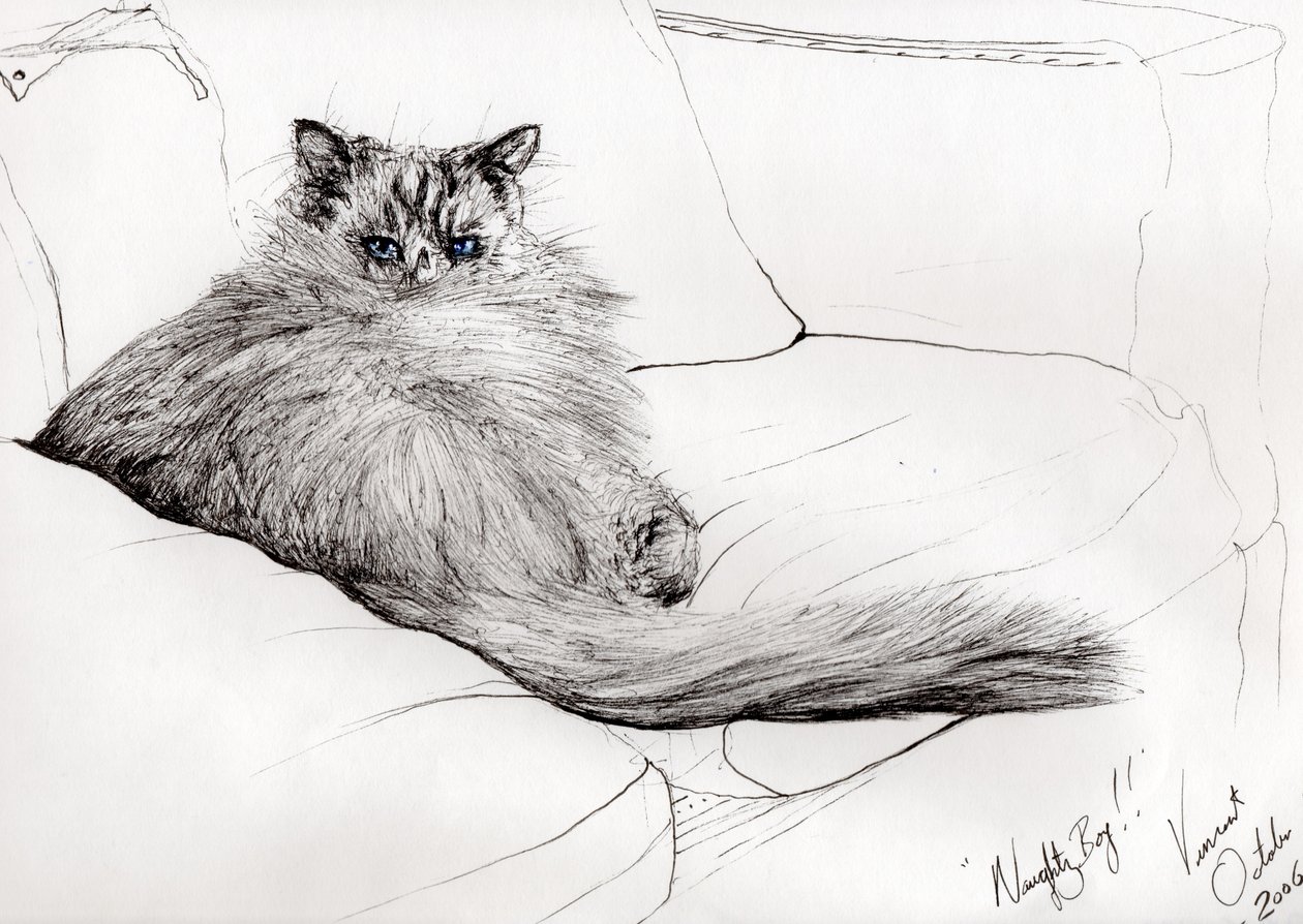 yaramaz çocuk !, 2006, (Kağıt üzerine mürekkep) by Vincent Alexander Booth