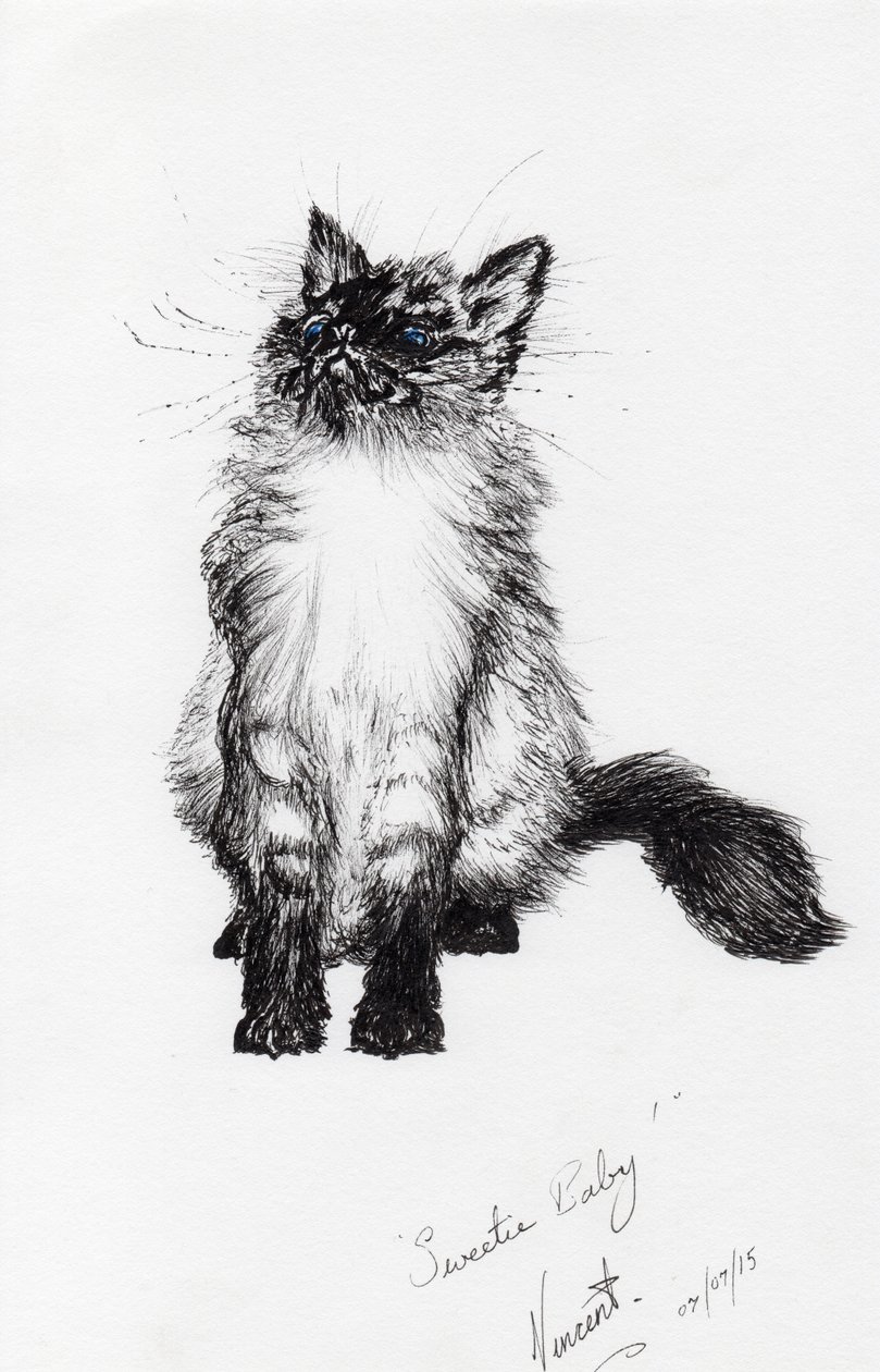 tatlım bebeğim, 2015, (kağıt üzerine mürekkep) by Vincent Alexander Booth