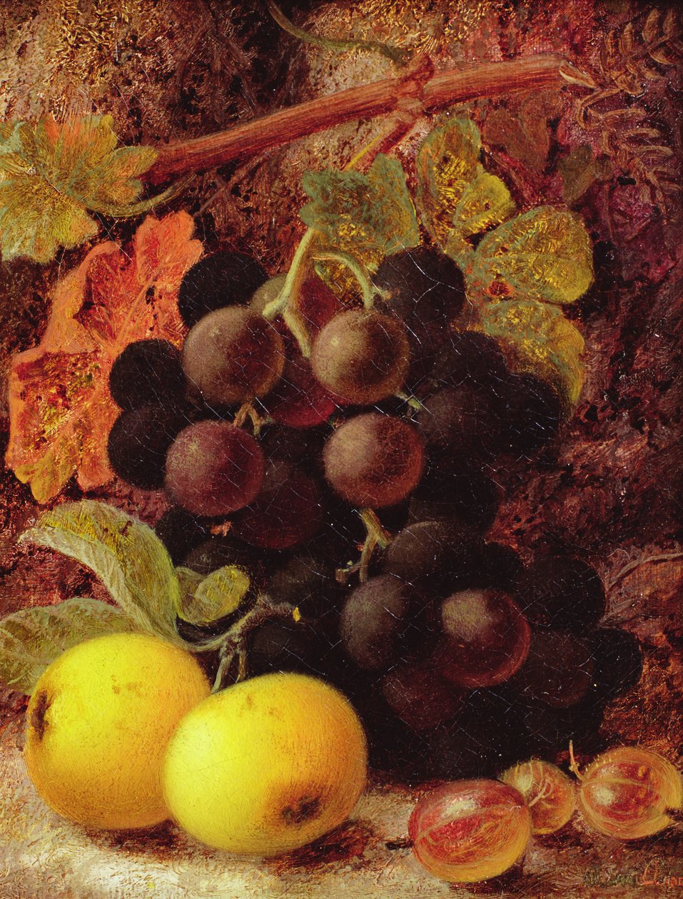 Üzüm, Elma ve Bektaşi Üzümü by Vincent Clare