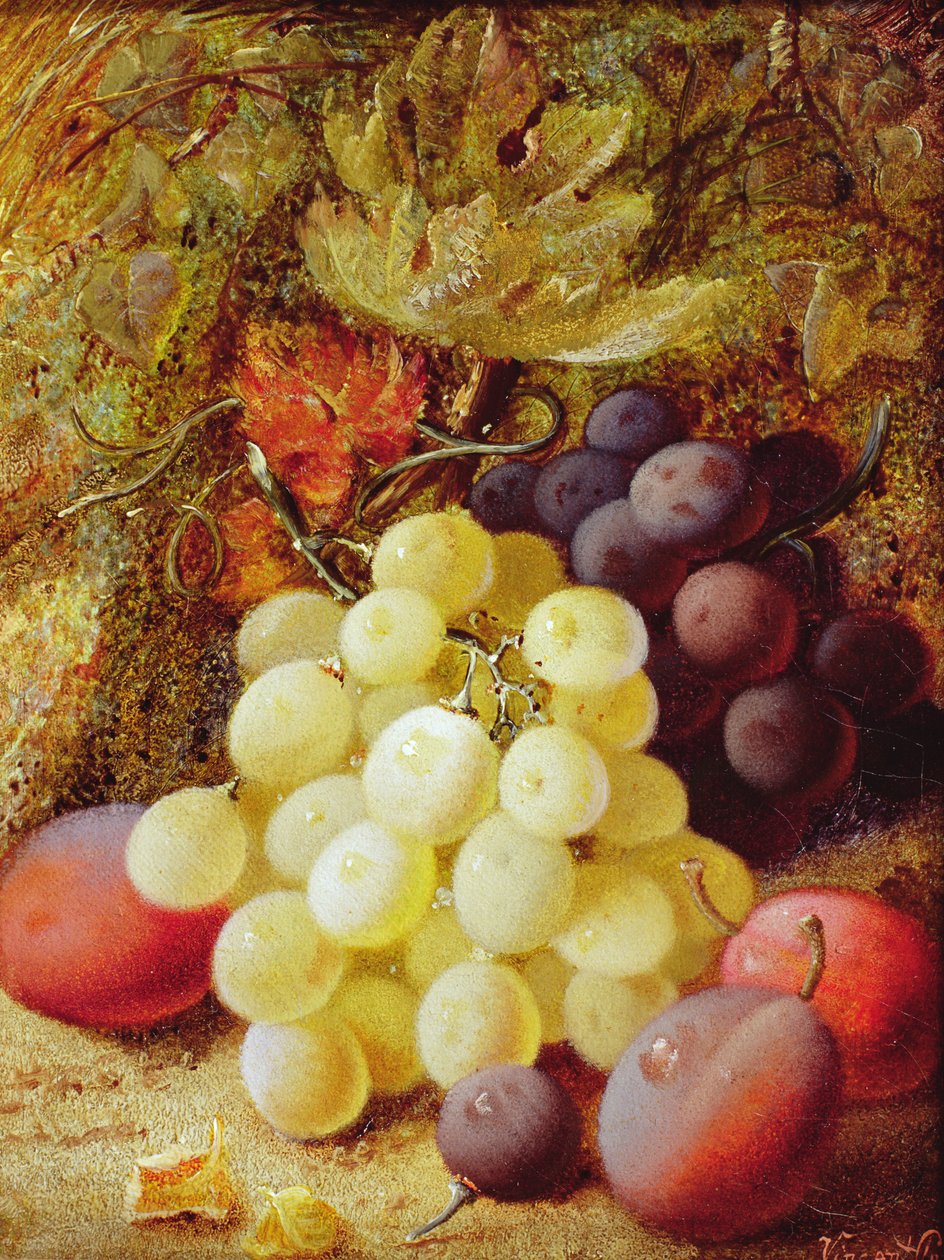 Üzüm ve Erik by Vincent Clare
