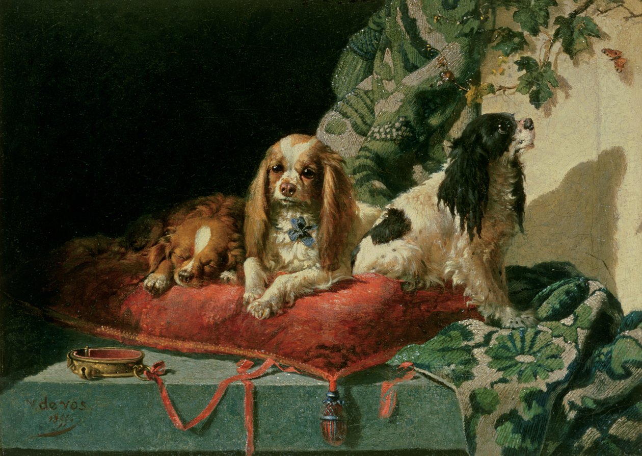 Kral Charles İspanyollar by Vincent de Vos