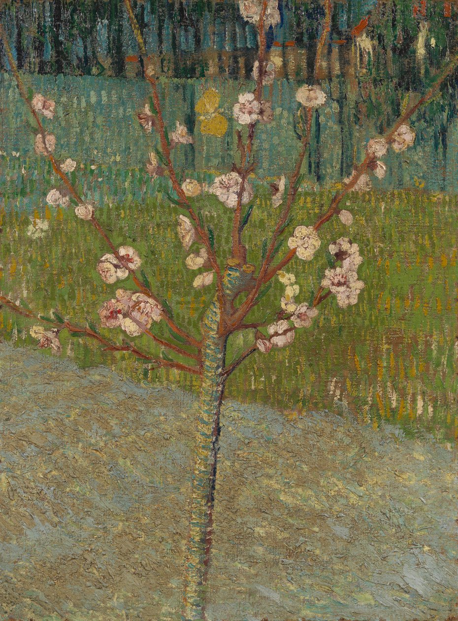 Badem Ağacı Çiçeği by Vincent van Gogh