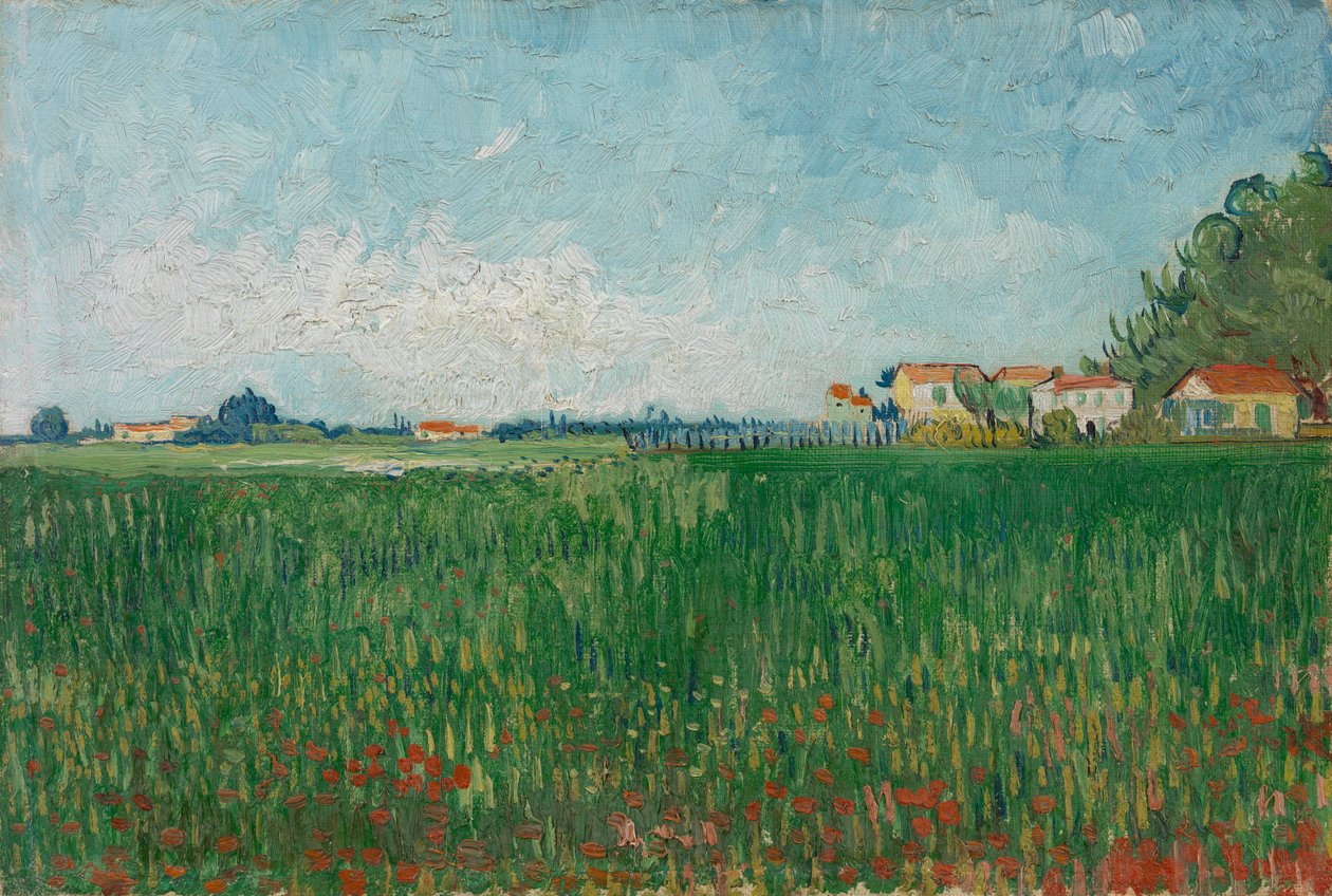 haşhaş tarlası by Vincent van Gogh
