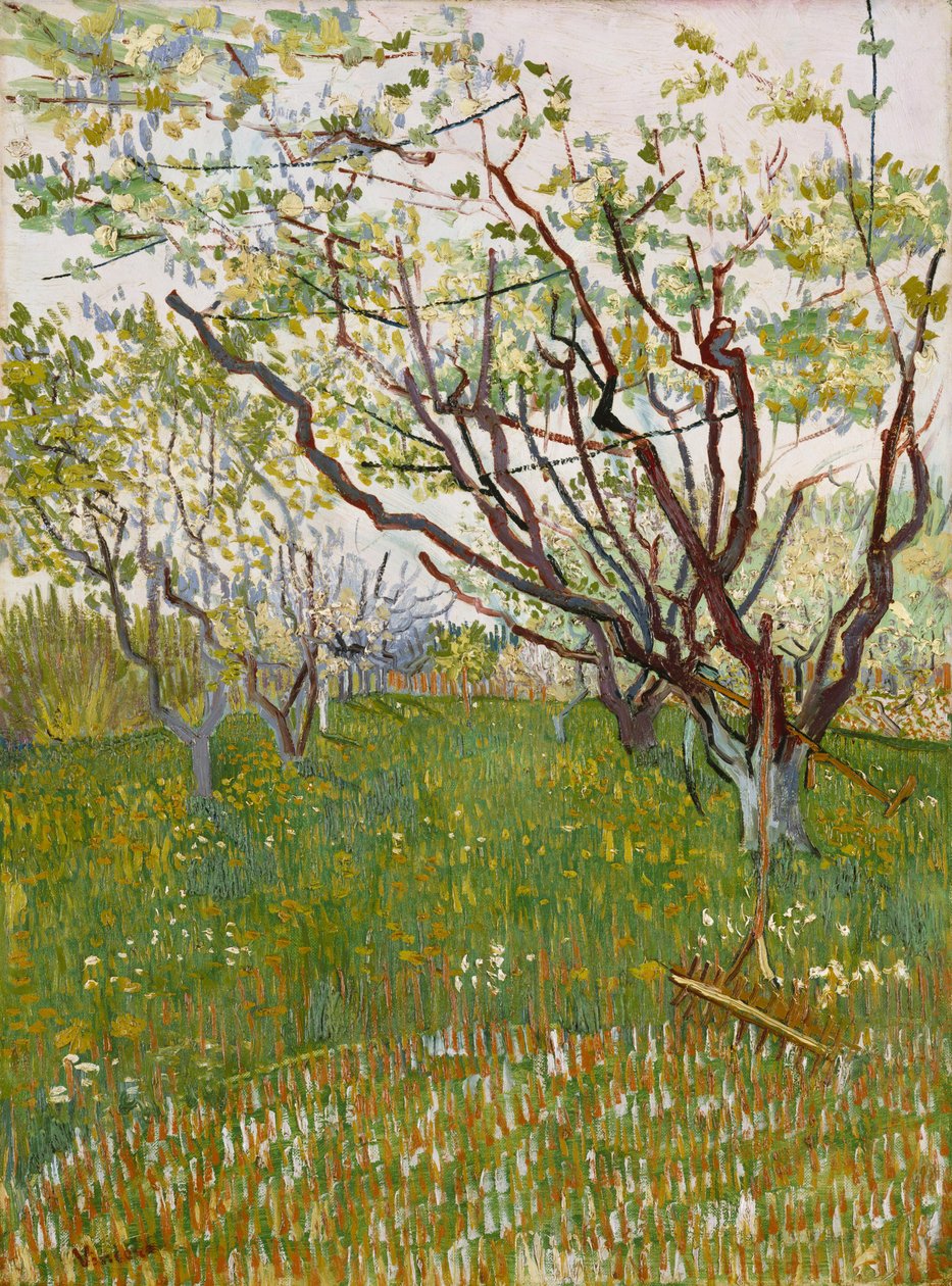 çiçekli meyve bahçesi by Vincent van Gogh