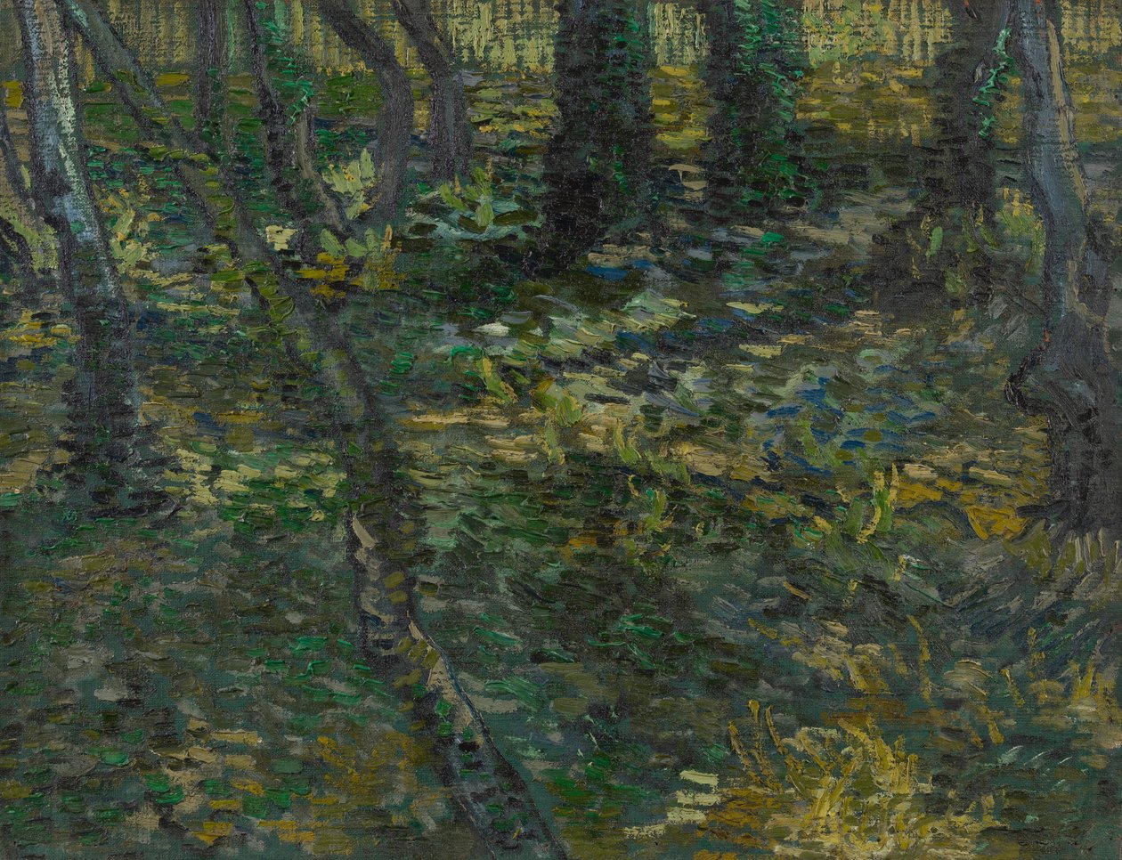 çalı by Vincent van Gogh