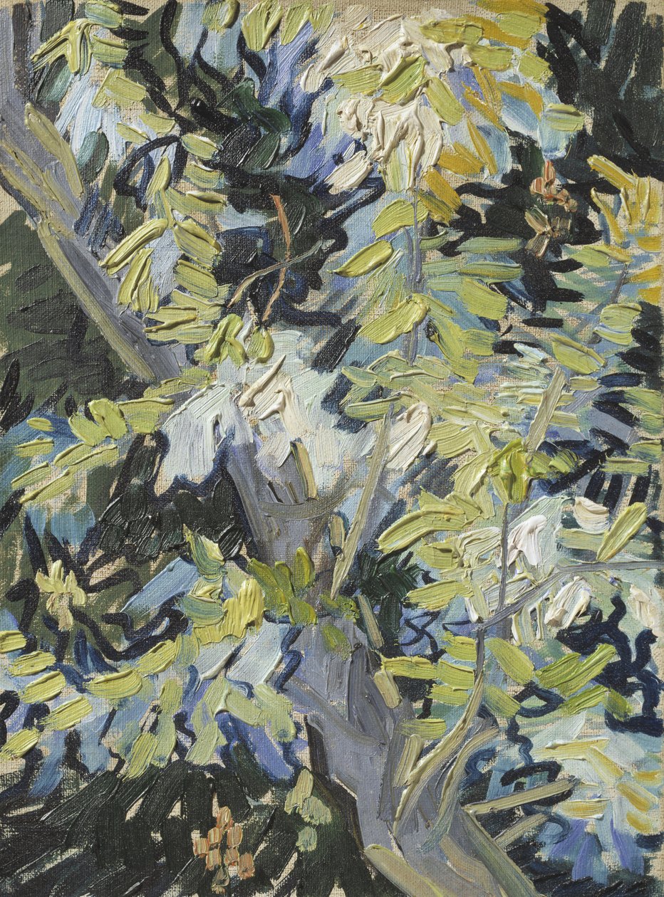 Çiçekteki Akasya, c.1889 by Vincent van Gogh