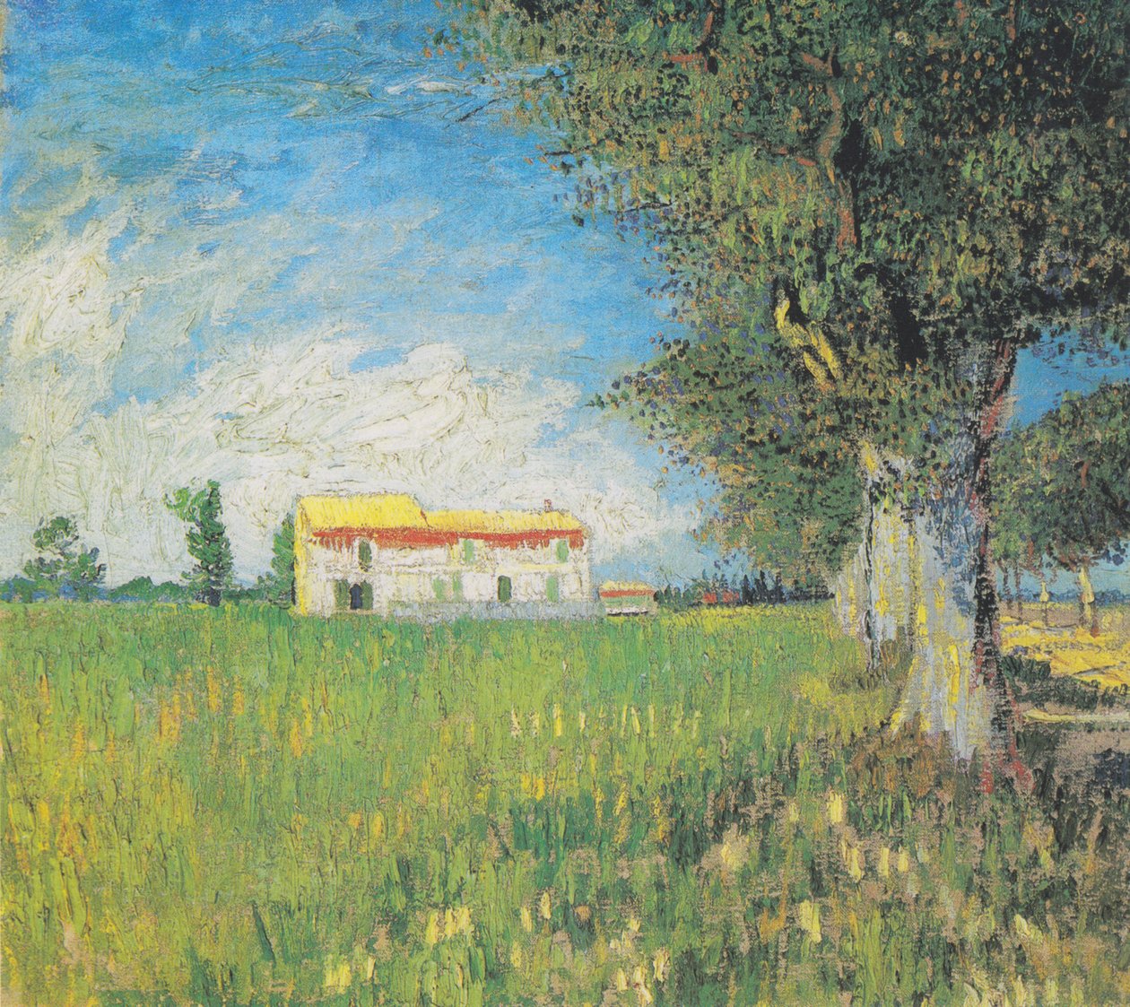 Bir buğday alanında çiftlik evi by Vincent van Gogh