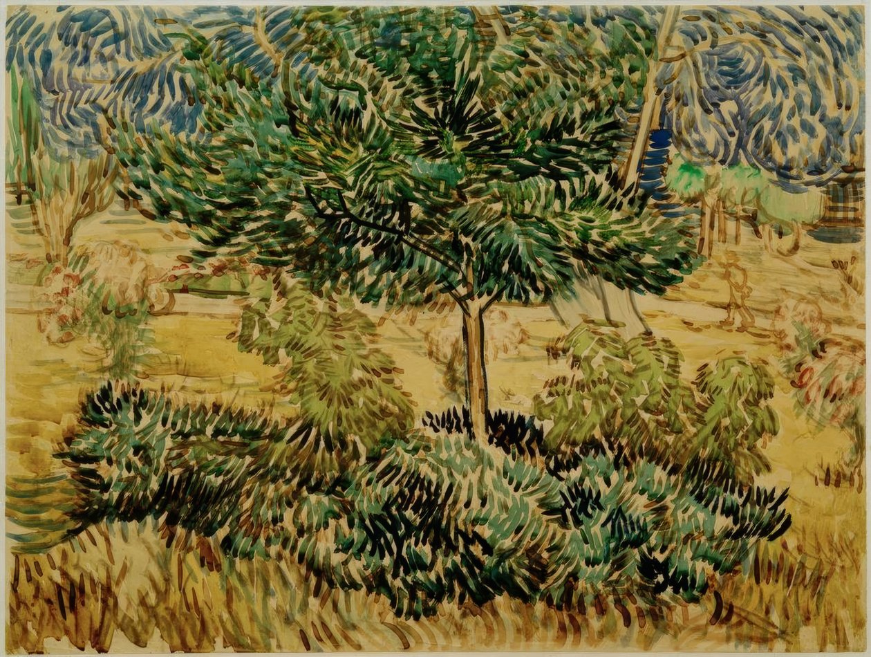 Sanatoryum bahçesinde ağaç ve çalılar by Vincent van Gogh