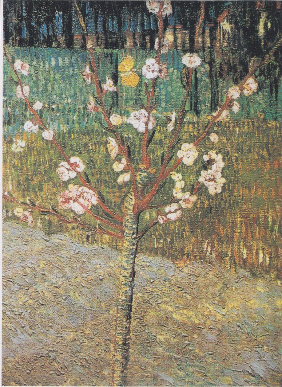 çiçek açan badem ağacı by Vincent van Gogh