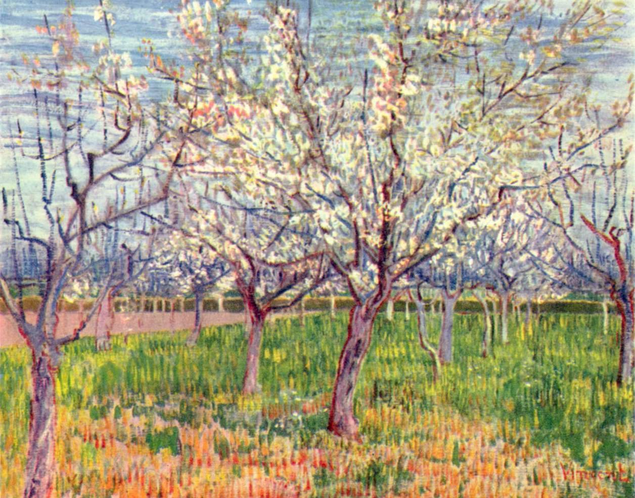 çiçek açan meyve bahçesi by Vincent van Gogh