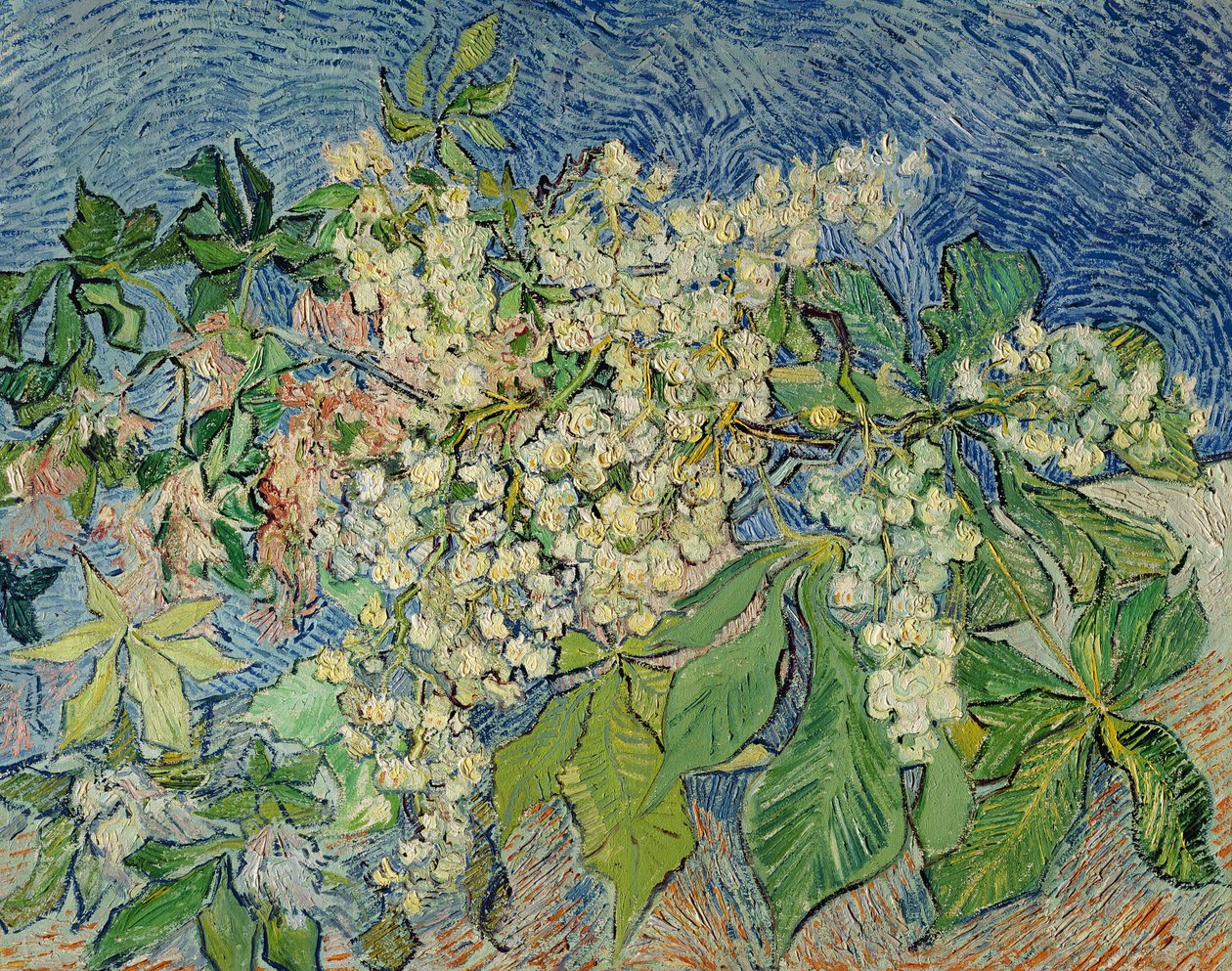 Çiçek Açan Kestane Dalları, 1890 by Vincent van Gogh