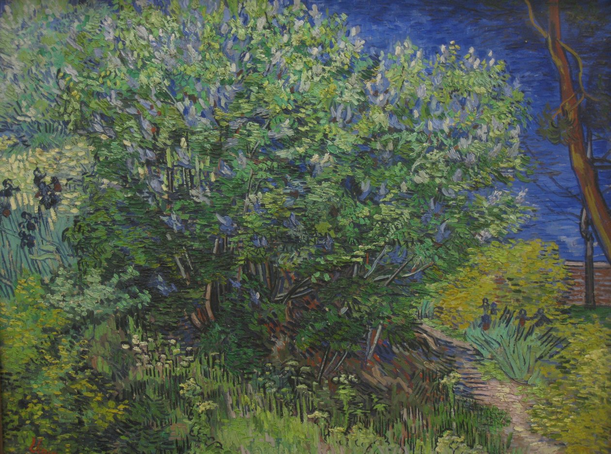 çalı by Vincent van Gogh