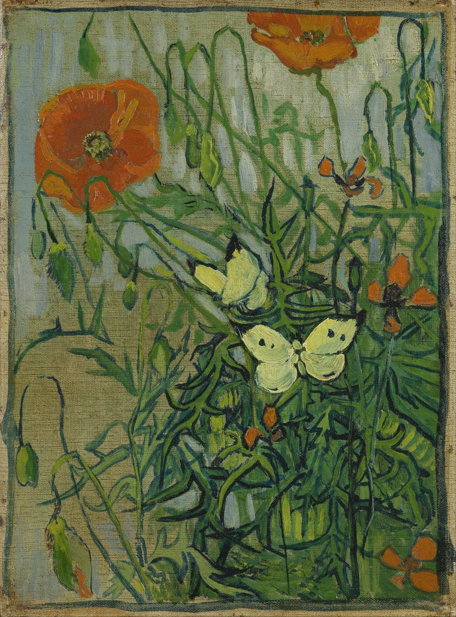 Kelebekler ve haşhaş by Vincent van Gogh