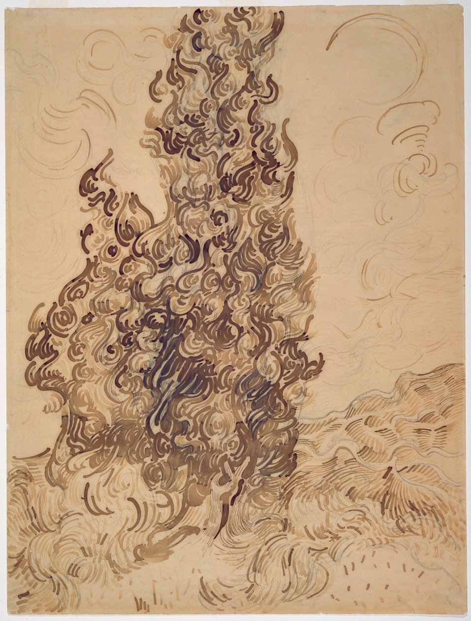 Cypresses, 1889 (kamış kalem, grafit, tüy ve kağıt üzerine kahverengi ve siyah mürekkep) by Vincent van Gogh