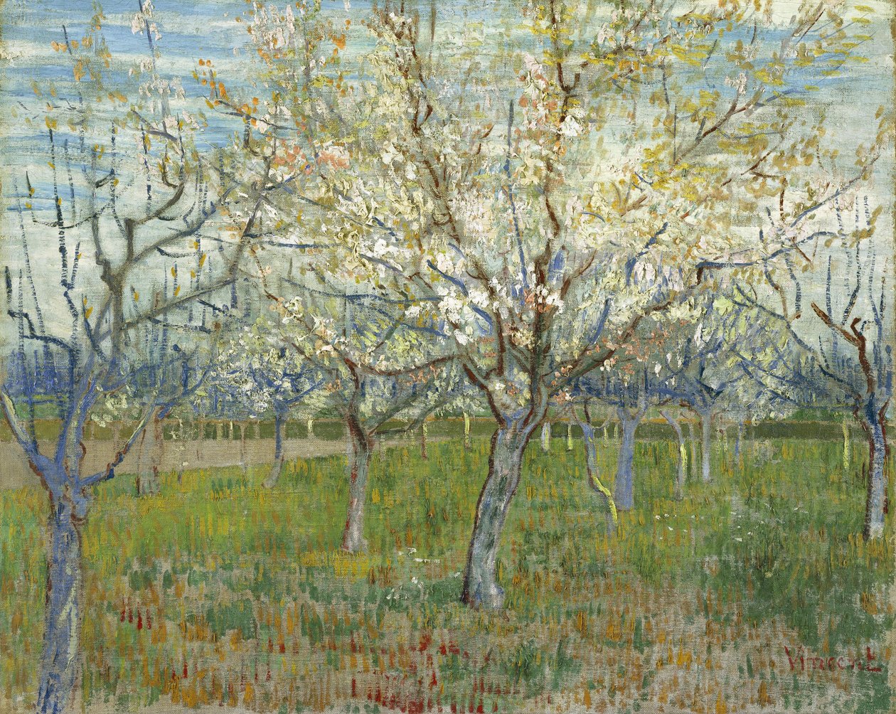 pembe meyve bahçesi by Vincent van Gogh