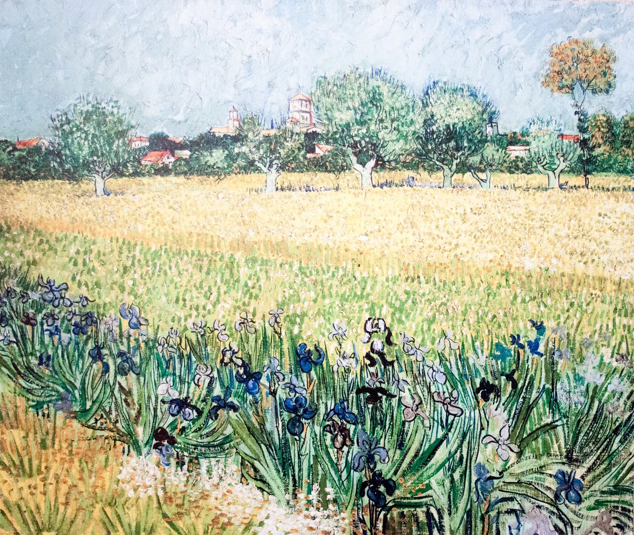 pembe şeftali ağacı by Vincent van Gogh
