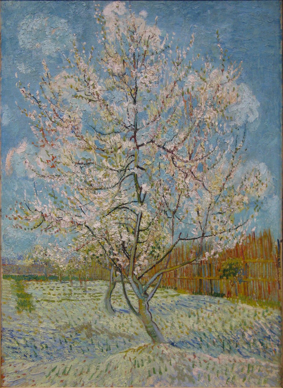 pembe şeftali ağacı by Vincent van Gogh