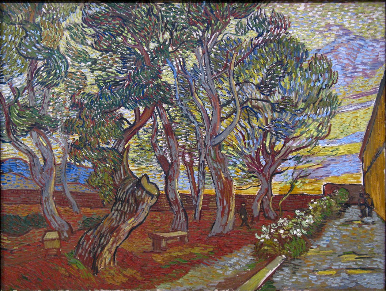 Saint Paul kurumunun bahçesi by Vincent van Gogh