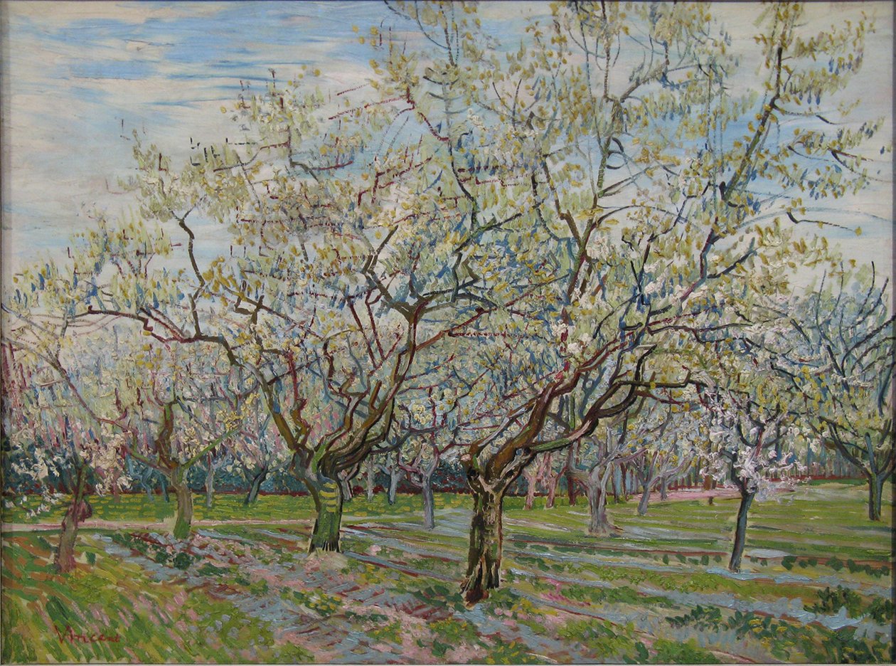 beyaz meyve bahçesi by Vincent van Gogh