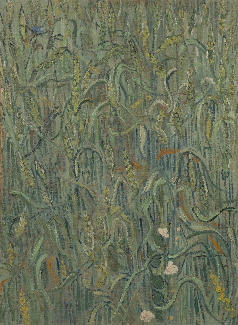 Buğday Kulakları by Vincent van Gogh