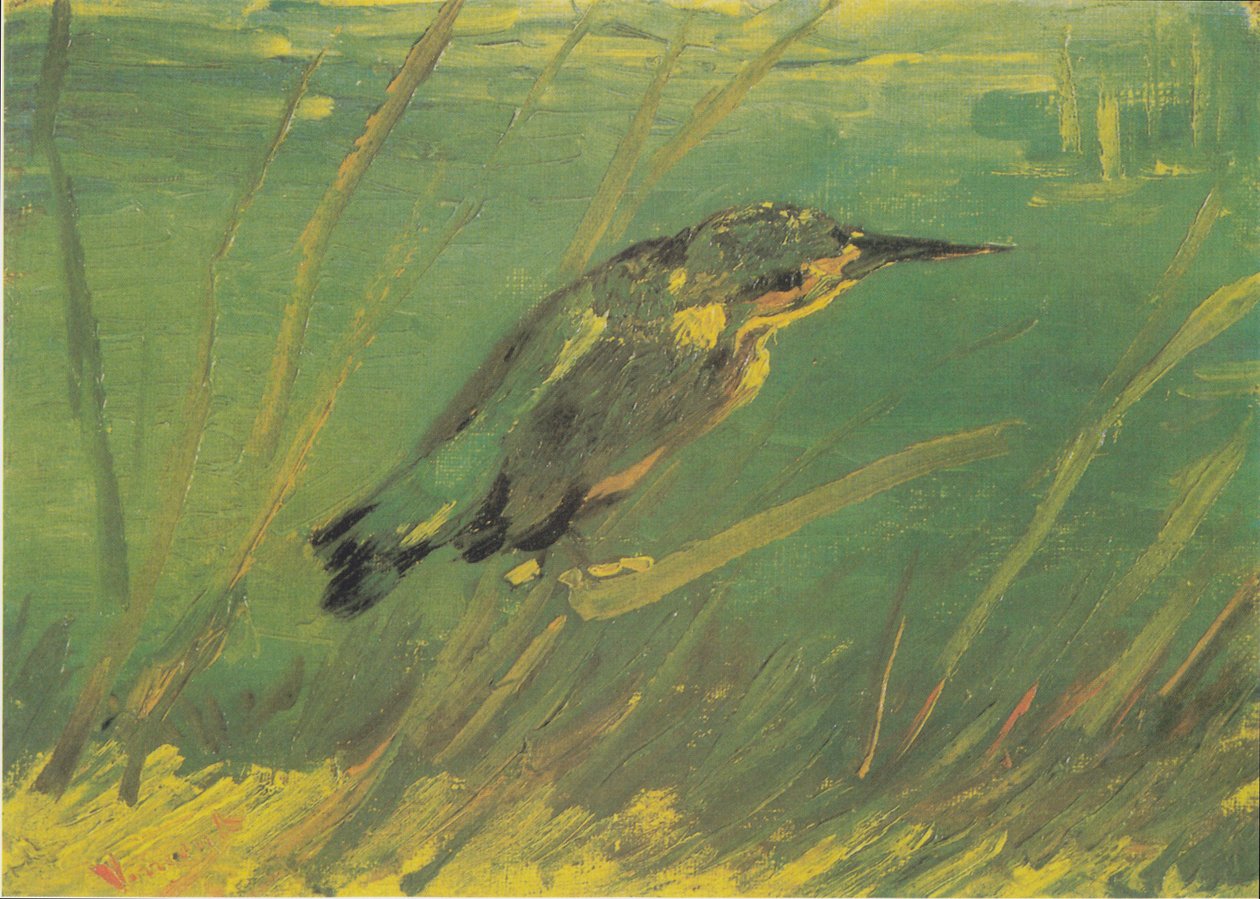 yalıçapkını by Vincent van Gogh